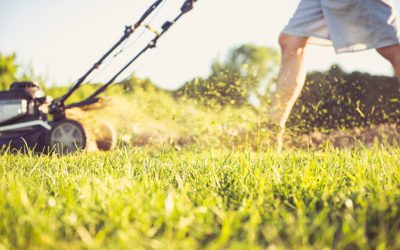 Tackling Your Lawnmower