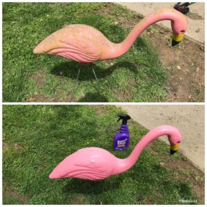 Plastic flamingos before and after Super Clean