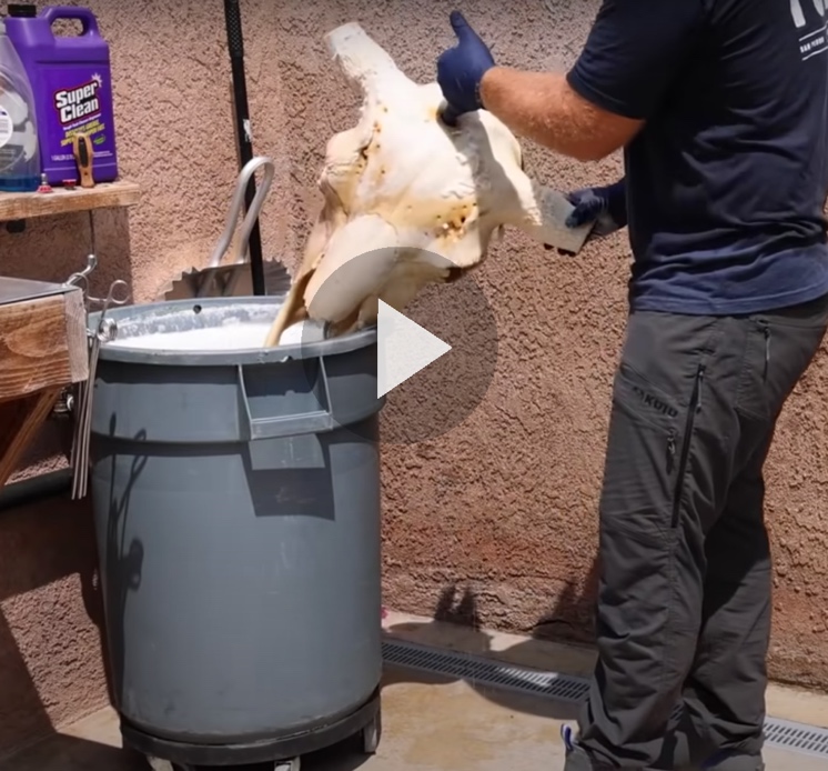 video still of man cleaning a skull with super clean